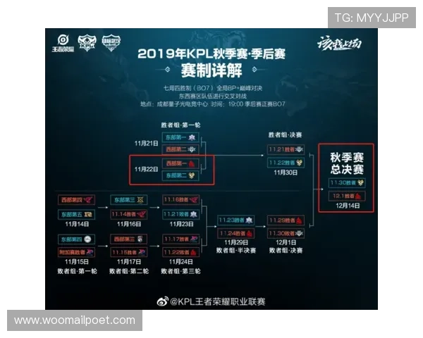 深入了解ag中国官方网站提供的丰富游戏资源和客户服务支持指南